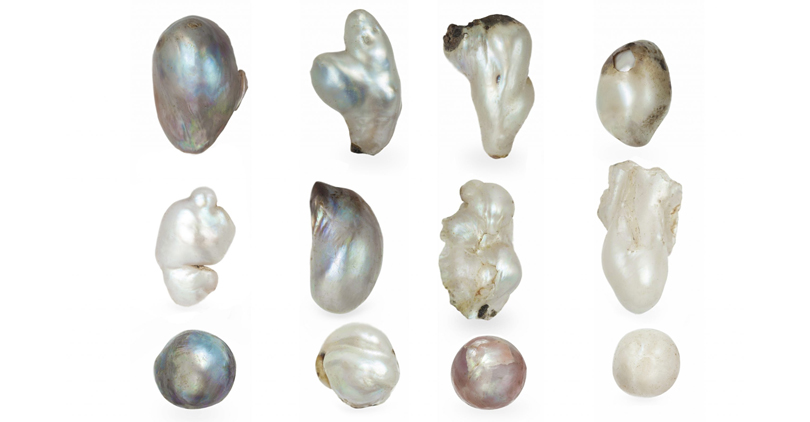 Shape Influencing Pearl Pricing